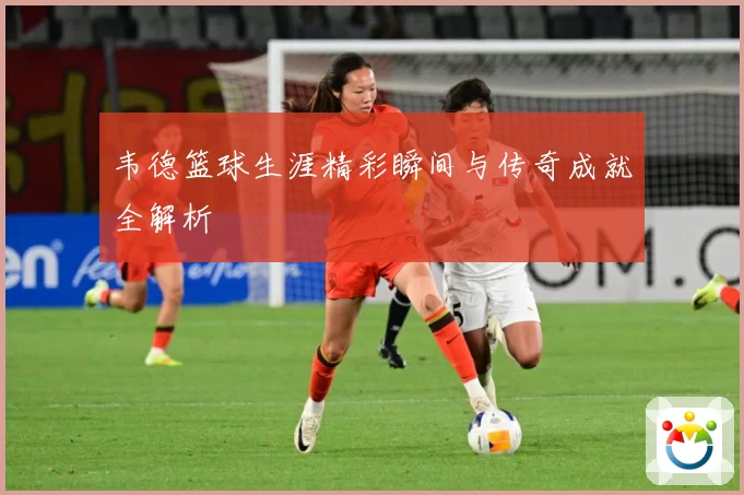 韦德篮球生涯精彩瞬间与传奇成就全解析