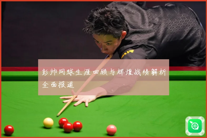 彭帅网球生涯回顾与辉煌战绩解析全面报道