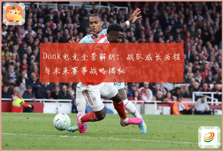 Donk电竞全景解析：战队成长历程与未来赛事战略揭秘