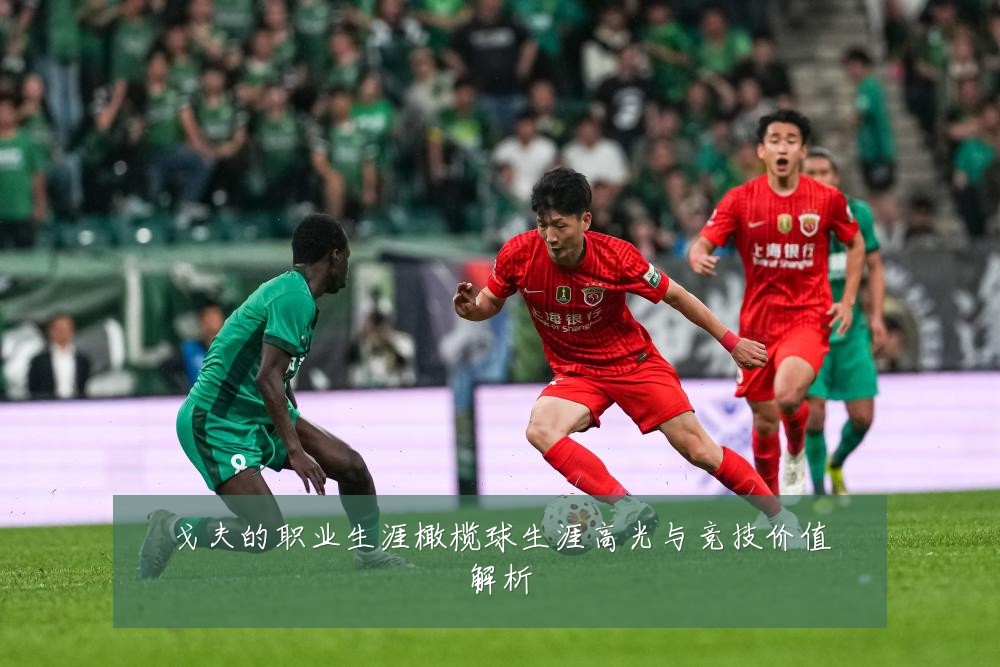 戈夫的职业生涯橄榄球生涯高光与竞技价值解析